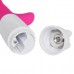 Dual Vibrating Double Rod Vibrator